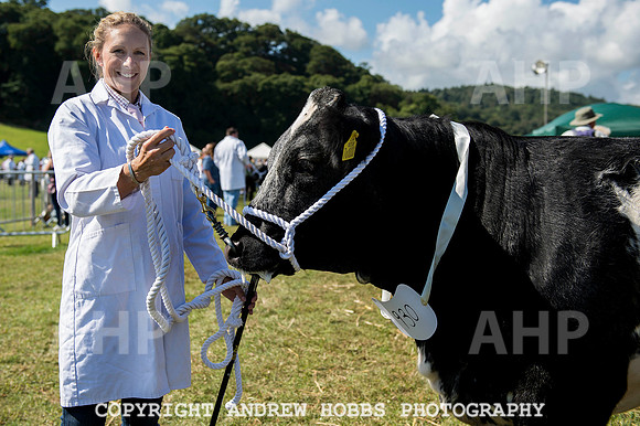 Dunster Show 2014 006