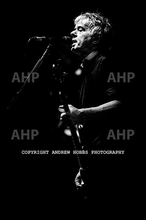 Beautiful Days 2019_AHP_7349