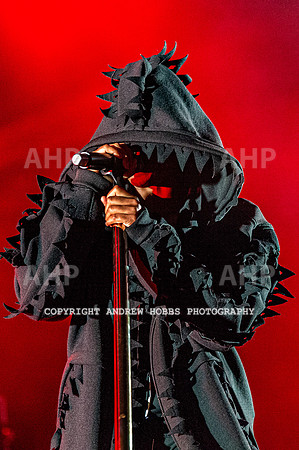 Beautiful Days 2019_AHP_7548