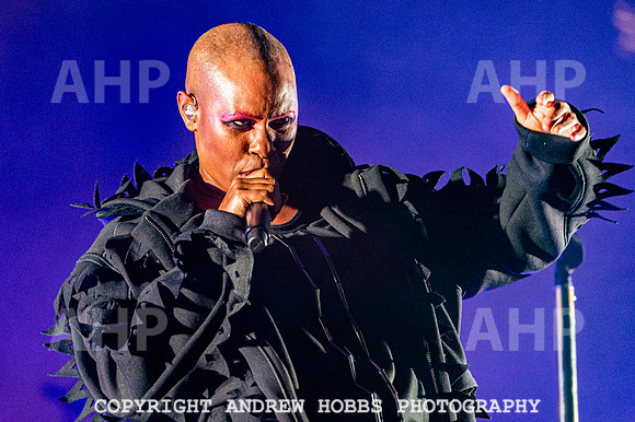 Beautiful Days 2019_AHP_7584