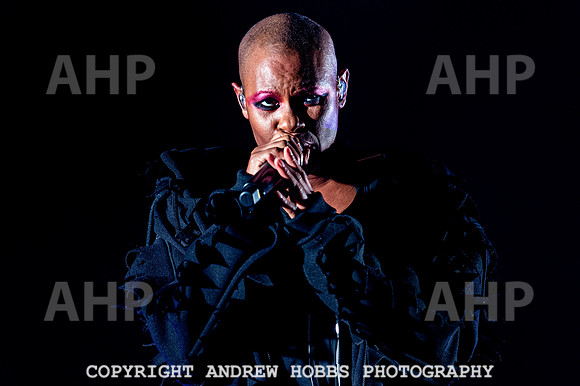Beautiful Days 2019_AHP_7747