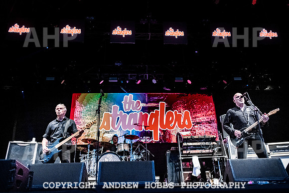 Beautiful Days 2019_HOB_3062