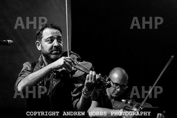 Beautiful Days 2019_AHP_8386