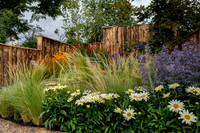 Taunton Flower Show 2014 005