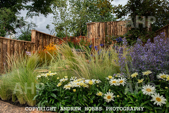 Taunton Flower Show 2014 005
