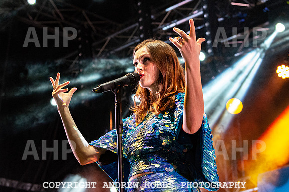 Watchet Festival 2019_AHP_2535