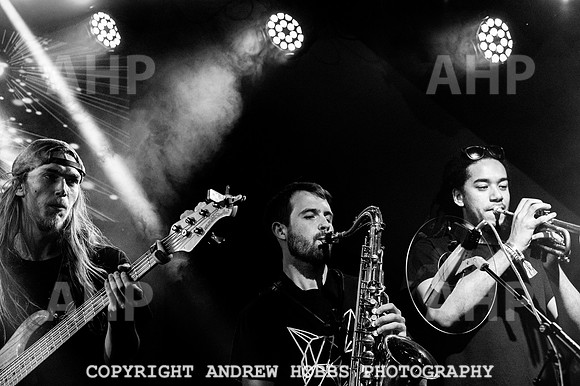 Watchet Festival 2019_AHP_2818