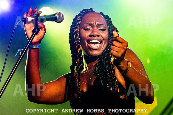 Watchet Festival 2019_AHP_2861