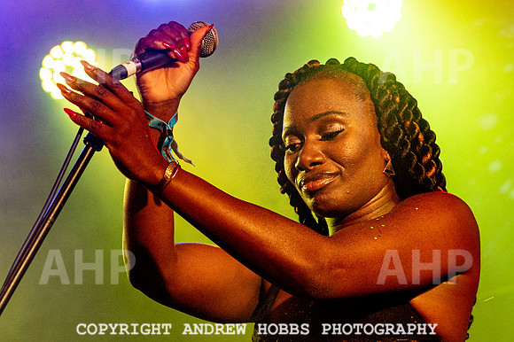 Watchet Festival 2019_AHP_2876