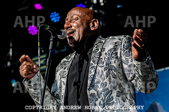 Watchet Festival 2019_HOB_5517