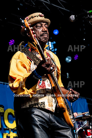 Watchet Festival 2019_HOB_5562