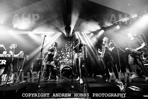 Watchet Festival 2019_HOB_6436