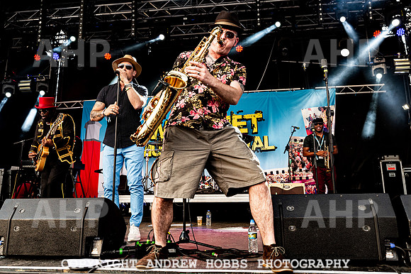 Watchet Festival 2019_AHP_2231