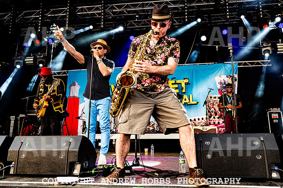 Watchet Festival 2019_AHP_2234