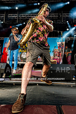 Watchet Festival 2019_AHP_2245