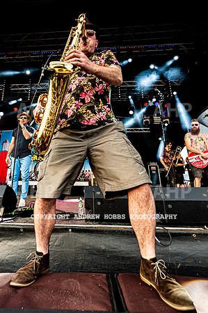 Watchet Festival 2019_AHP_2249