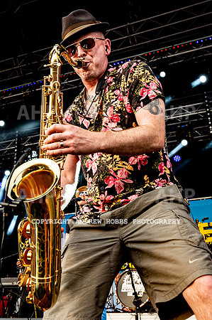 Watchet Festival 2019_AHP_2278