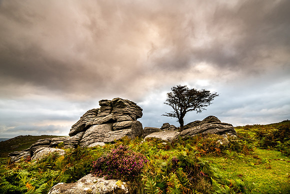Emsworthy Tor Dartmoor Aug 2019_HOB_7486