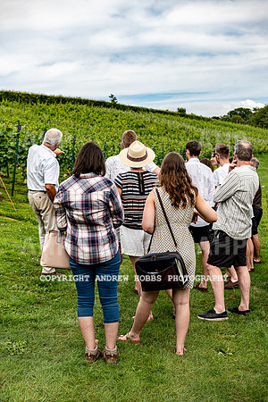 Wellhayes Tour July 2019_HOB_0891