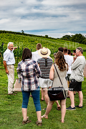 Wellhayes Tour July 2019_HOB_0892