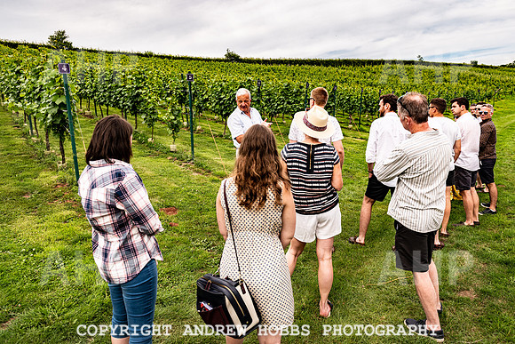 Wellhayes Tour July 2019_HOB_0894