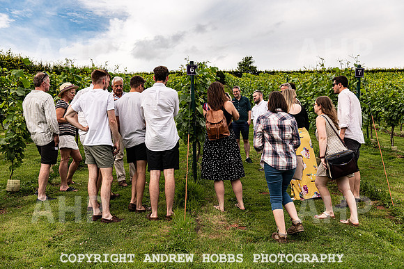 Wellhayes Tour July 2019_HOB_0900