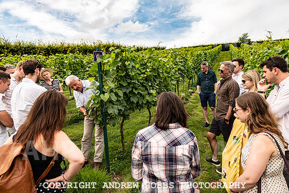 Wellhayes Tour July 2019_HOB_0910
