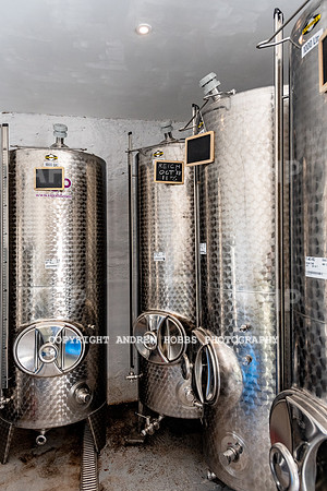 Wellhayes Vineyard June 2019_HOB_9546