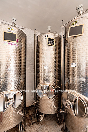 Wellhayes Vineyard June 2019_HOB_9550