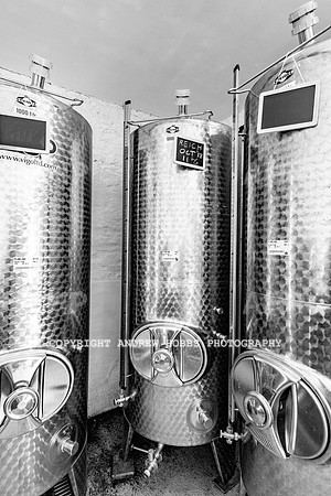 Wellhayes Vineyard June 2019_HOB_9551