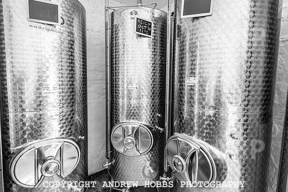Wellhayes Vineyard June 2019_HOB_9552