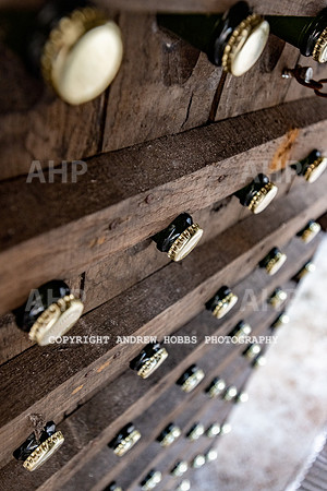Wellhayes Vineyard June 2019_HOB_9567