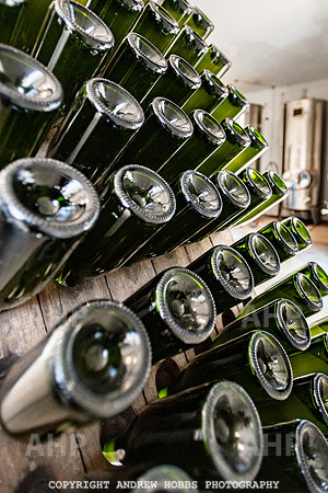 Wellhayes Vineyard June 2019_HOB_9570