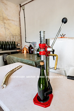 Wellhayes Vineyard June 2019_HOB_9574