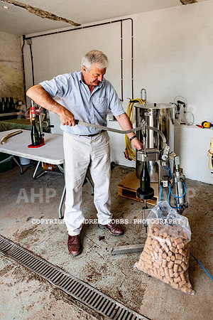 Wellhayes Vineyard June 2019_HOB_9579