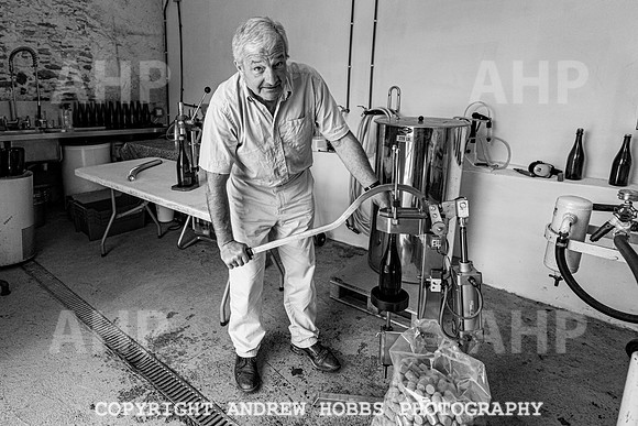 Wellhayes Vineyard June 2019_HOB_9587