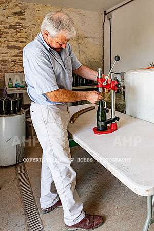 Wellhayes Vineyard June 2019_HOB_9600