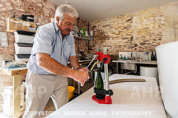 Wellhayes Vineyard June 2019_HOB_9615