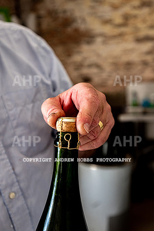 Wellhayes Vineyard June 2019_HOB_9623
