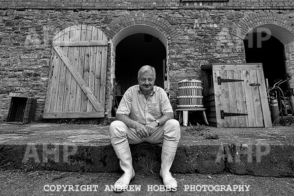 Wellhayes Vineyard June 2019_HOB_9633