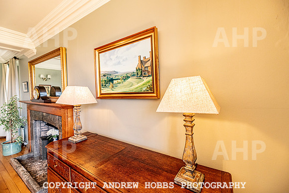 Bossington Hall EM 2019-9259