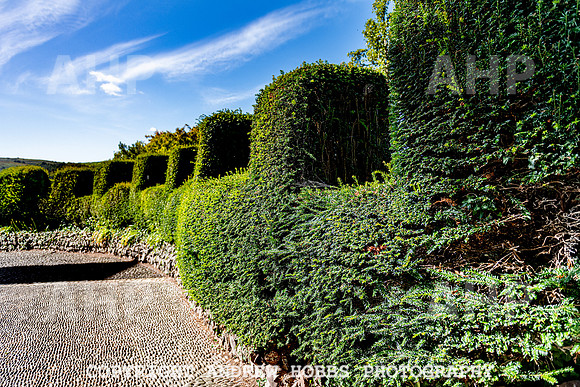 Bossington Hall EM 2019-9279