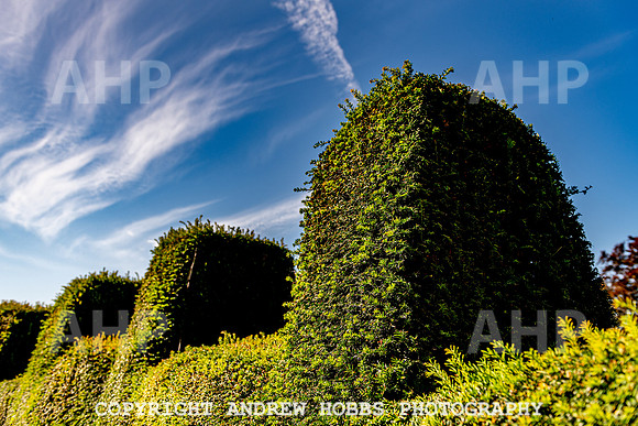 Bossington Hall EM 2019-9280