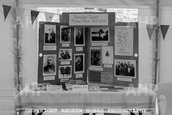 Wambrook Flower Show Centenary 135