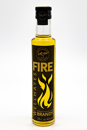 Wellhayes products Sep 2019-9476