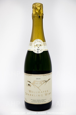 Wellhayes products Sep 2019-9468