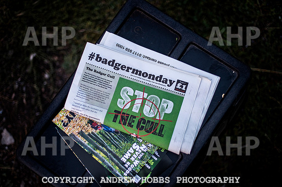 First Camp Badger_8998