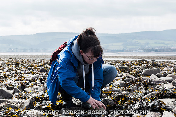 Somerset's Lowest Tide 200 years 026