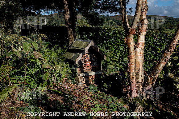 Vellacott Garden 2016-3538
