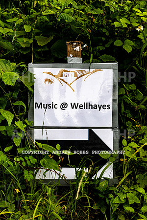 Wellhayes - music night 2019-5642